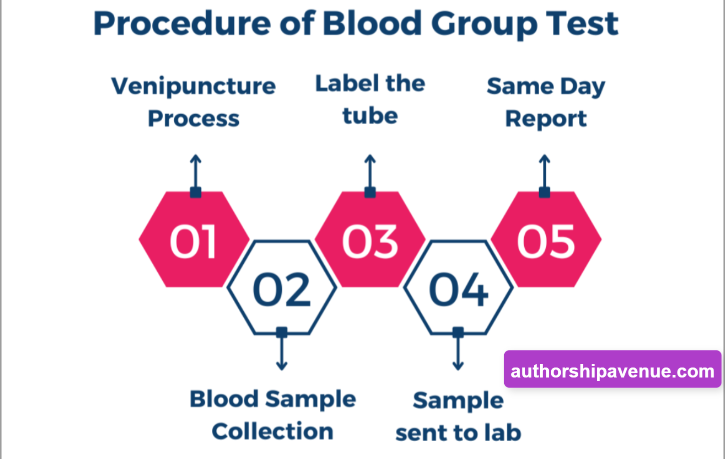 Blood Group Testing : Process, Precautions & Methods to Identify Your Blood Group