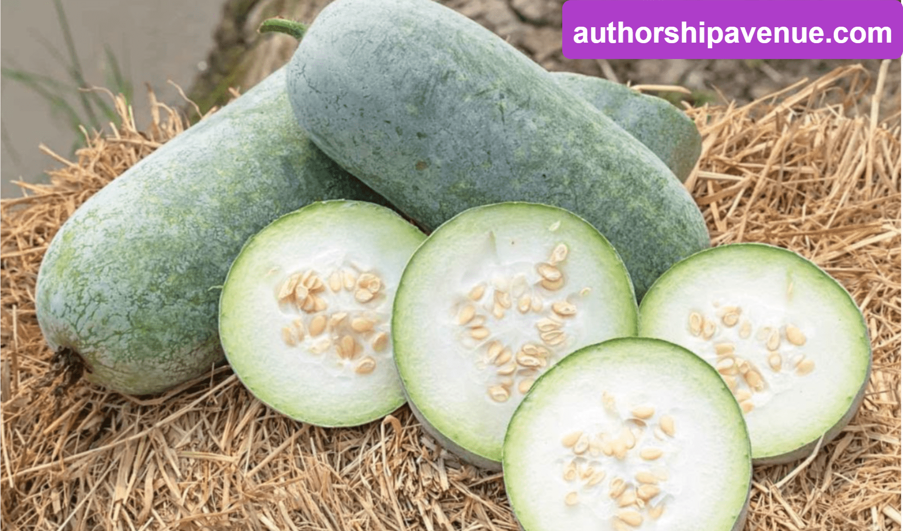 Exploring the Uses and Health Benefits of Ash Gourd Juice