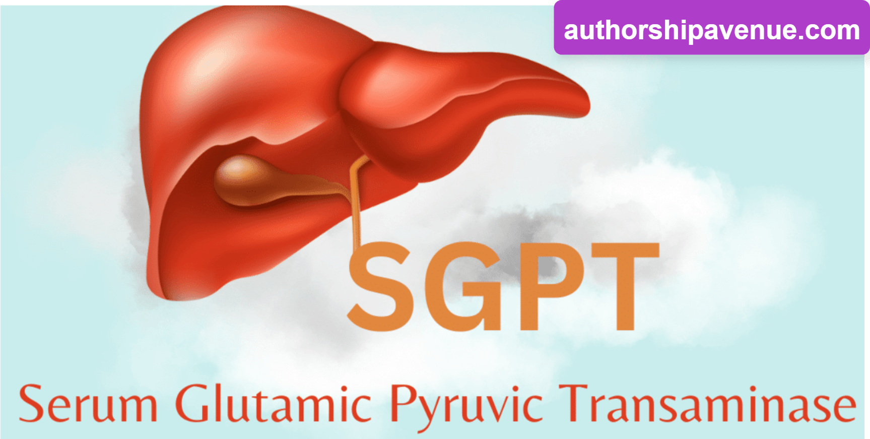 SGPT Normal Range : What You Must Need to Aware of